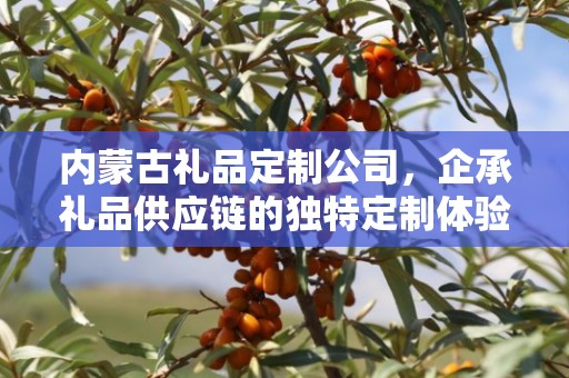 内蒙古礼品定制公司，企承礼品供应链的独特定制体验