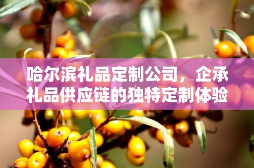 哈尔滨礼品定制公司，企承礼品供应链的独特定制体验