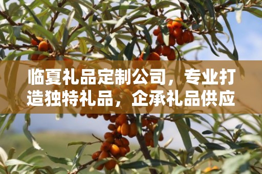 临夏礼品定制公司，专业打造独特礼品，企承礼品供应链引领行业前沿