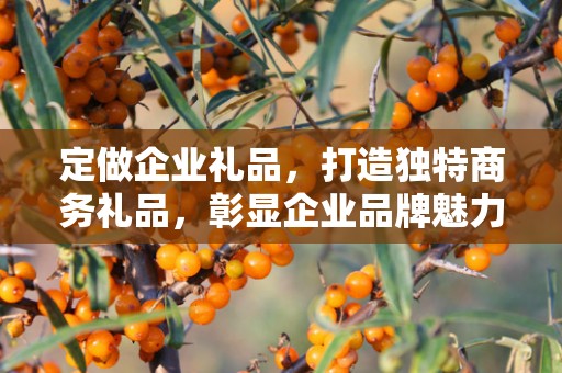 定做企业礼品，打造独特商务礼品，彰显企业品牌魅力