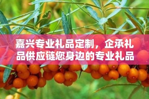 嘉兴专业礼品定制，企承礼品供应链您身边的专业礼品定制公司