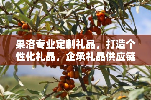 果洛专业定制礼品，打造个性化礼品，企承礼品供应链卓越服务