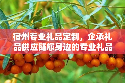 宿州专业礼品定制，企承礼品供应链您身边的专业礼品定制公司