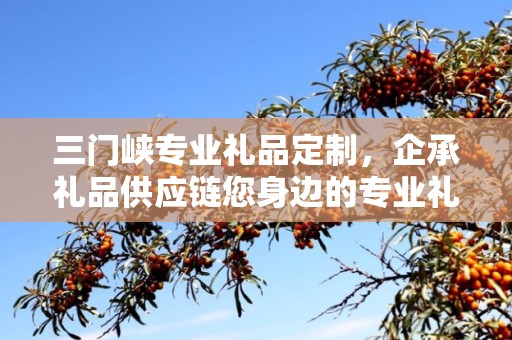 三门峡专业礼品定制，企承礼品供应链您身边的专业礼品定制公司