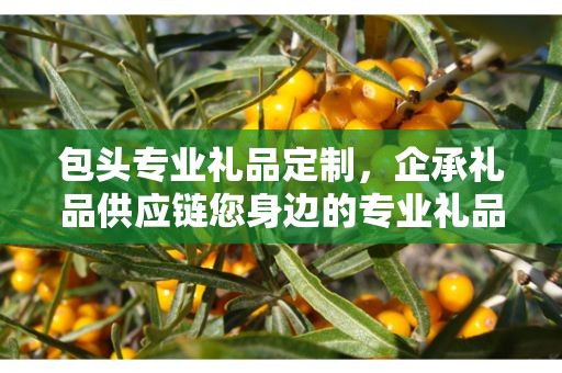 包头专业礼品定制，企承礼品供应链您身边的专业礼品定制公司