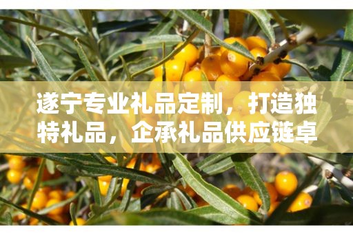遂宁专业礼品定制，打造独特礼品，企承礼品供应链卓越服务