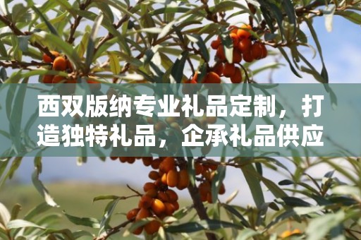 西双版纳专业礼品定制，打造独特礼品，企承礼品供应链