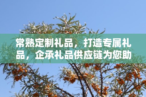 常熟定制礼品，打造专属礼品，企承礼品供应链为您助力