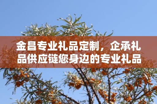 金昌专业礼品定制，企承礼品供应链您身边的专业礼品定制公司