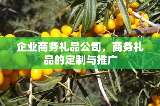 企业商务礼品公司，商务礼品的定制与推广