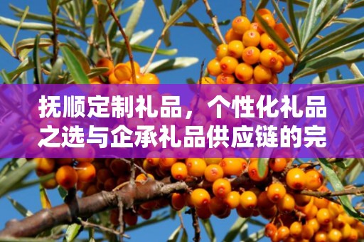 抚顺定制礼品，个性化礼品之选与企承礼品供应链的完美结合