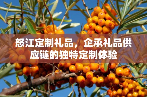 怒江定制礼品，企承礼品供应链的独特定制体验