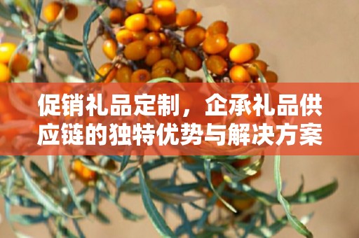 促销礼品定制，企承礼品供应链的独特优势与解决方案