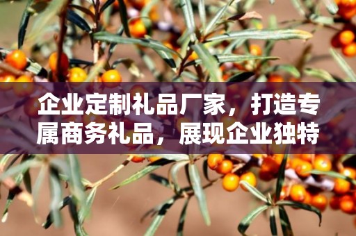 企业定制礼品厂家，打造专属商务礼品，展现企业独特魅力