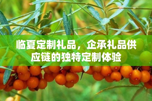 临夏定制礼品，企承礼品供应链的独特定制体验