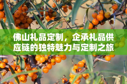 佛山礼品定制，企承礼品供应链的独特魅力与定制之旅