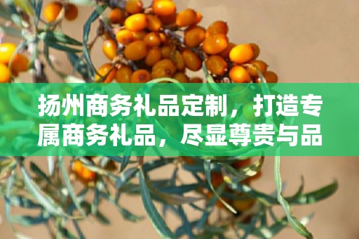 扬州商务礼品定制，打造专属商务礼品，尽显尊贵与品味