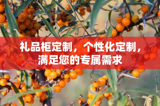 礼品柜定制，个性化定制，满足您的专属需求