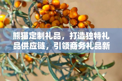 熊猫定制礼品，打造独特礼品供应链，引领商务礼品新风尚