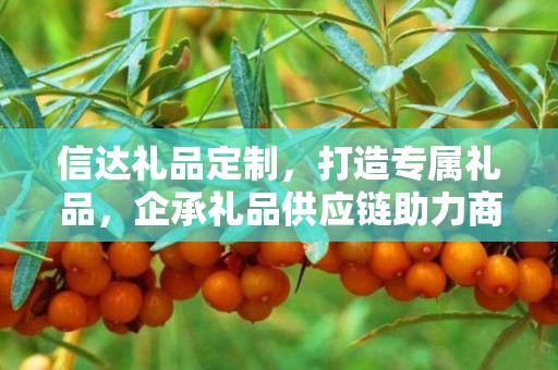 信达礼品定制，打造专属礼品，企承礼品供应链助力商务之选