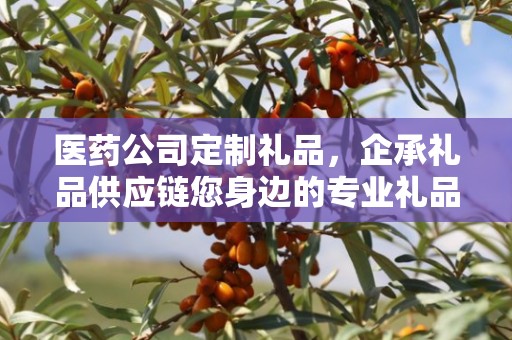 医药公司定制礼品，企承礼品供应链您身边的专业礼品定制公司