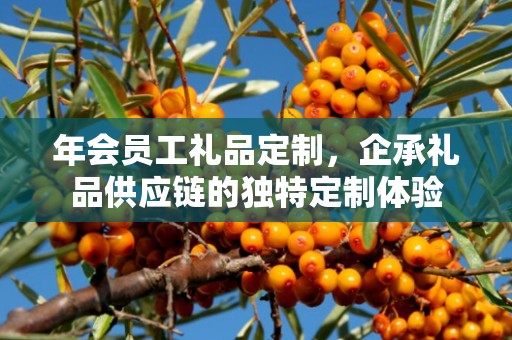 年会员工礼品定制，企承礼品供应链的独特定制体验