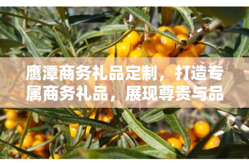 鹰潭商务礼品定制，打造专属商务礼品，展现尊贵与品味