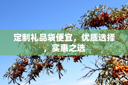 定制礼品袋便宜，优质选择，实惠之选