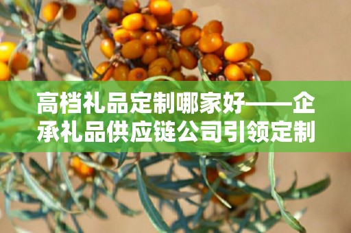 高档礼品定制哪家好——企承礼品供应链公司引领定制潮流