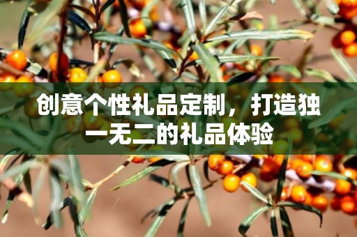 创意个性礼品定制，打造独一无二的礼品体验