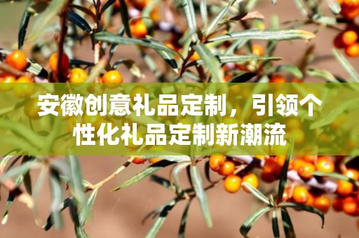 安徽创意礼品定制，引领个性化礼品定制新潮流