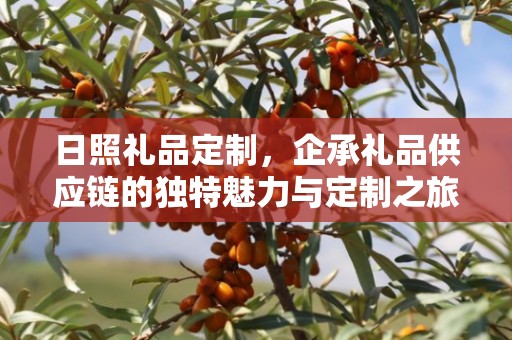 日照礼品定制，企承礼品供应链的独特魅力与定制之旅