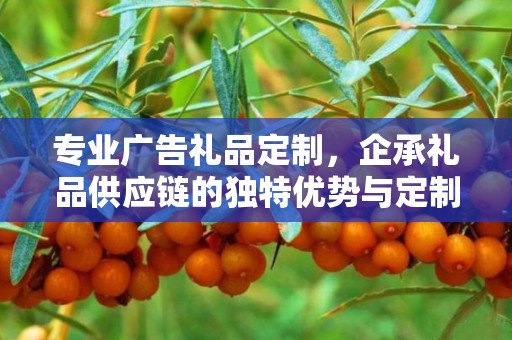 专业广告礼品定制，企承礼品供应链的独特优势与定制之旅
