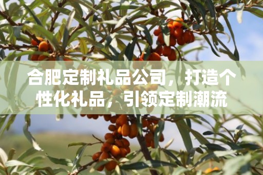 合肥定制礼品公司，打造个性化礼品，引领定制潮流