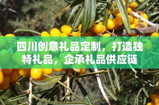 四川创意礼品定制，打造独特礼品，企承礼品供应链
