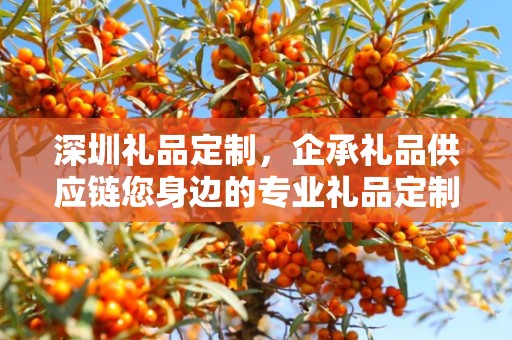 深圳礼品定制，企承礼品供应链您身边的专业礼品定制公司