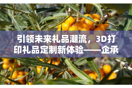 引领未来礼品潮流，3D打印礼品定制新体验——企承礼品供应链公司为您倾情打造