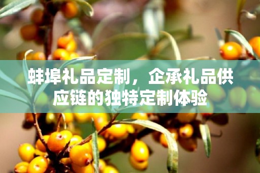 蚌埠礼品定制，企承礼品供应链的独特定制体验