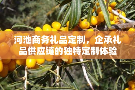 河池商务礼品定制，企承礼品供应链的独特定制体验