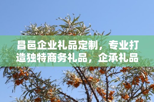 昌邑企业礼品定制，专业打造独特商务礼品，企承礼品供应链助力企业回馈