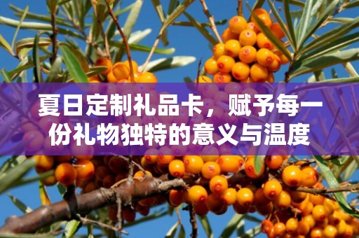 夏日定制礼品卡，赋予每一份礼物独特的意义与温度
