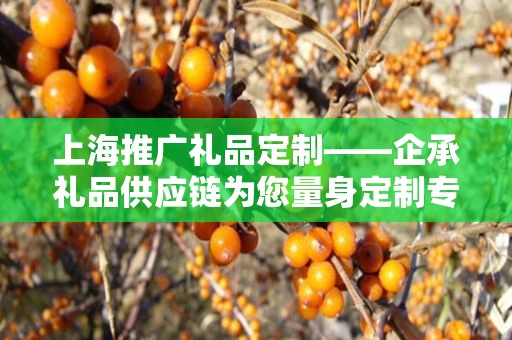 上海推广礼品定制——企承礼品供应链为您量身定制专属礼品