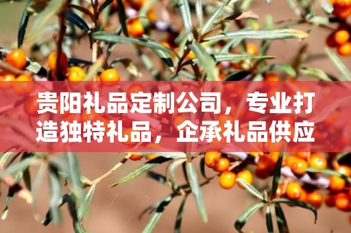 贵阳礼品定制公司，专业打造独特礼品，企承礼品供应链卓越服务