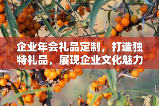 企业年会礼品定制，打造独特礼品，展现企业文化魅力