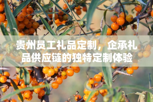 贵州员工礼品定制，企承礼品供应链的独特定制体验