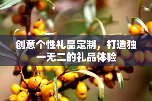 创意个性礼品定制，打造独一无二的礼品体验