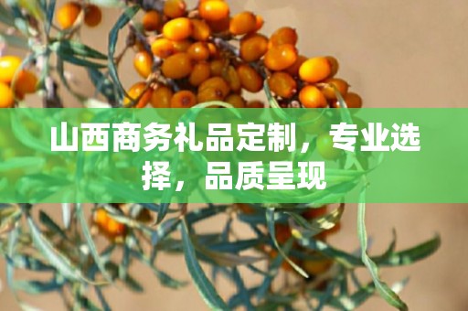 山西商务礼品定制，专业选择，品质呈现
