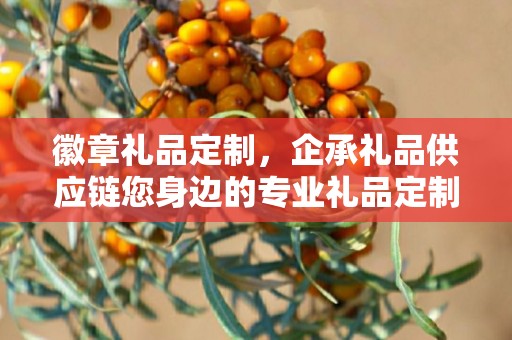 徽章礼品定制，企承礼品供应链您身边的专业礼品定制公司